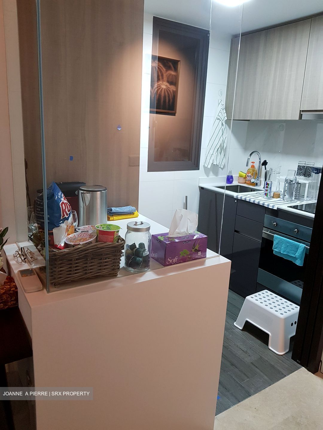 Botanique At Bartley (D19), Condominium #577226321